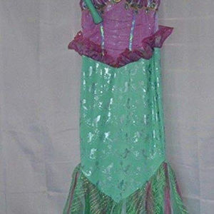 Disney Princess Aerial Costume Size  - Small 5/6